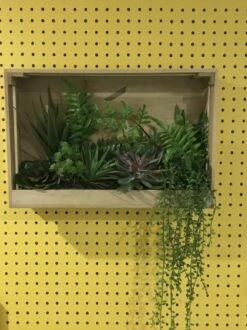 Tapete Nala Goldgelb -Geschaft Tapeten Nala K 835152 2880x1440