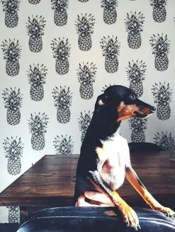 Tapete Pineapple Paradise Schwarzgrau 12 Tapete Pineapple Paradise Schwarzgrau -Geschaft Tapeten Pineapple Paradise K 181211 2880x1440