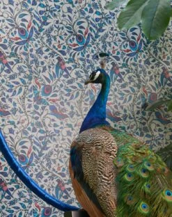 Tapete Rousseau Blautöne -Geschaft Tapeten Rubi B 745031 2880x1440