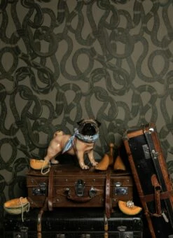 Tapete Snake Peek Moosgrau -Geschaft Tapeten Snake Peek D 341112 2880x1440