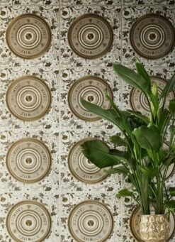 Versace Tapete Venus Brauntöne -Geschaft Tapeten Venus C 411013 2880x1440