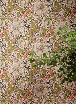 Tapete Wispa Olivgelb 13 Tapete Wispa Olivgelb -Geschaft Tapeten Wispa F 462505 2880x1440