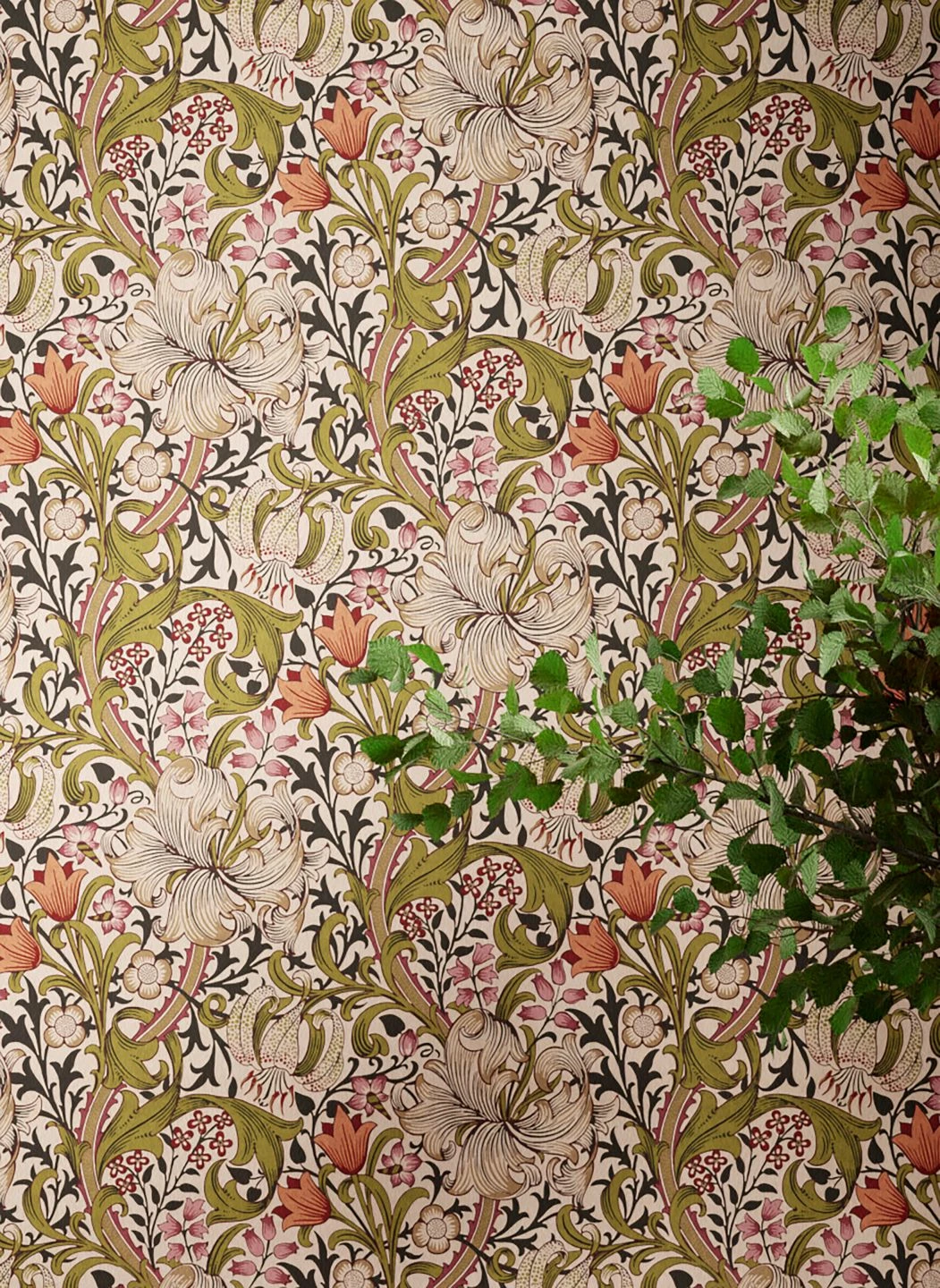 Tapete Wispa Olivgelb 8 Tapete Wispa Olivgelb – Bild 6