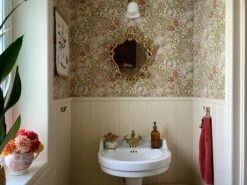 Tapete Wispa Schilfgrün -Geschaft Tapeten Wispa K 462504 2880x1440